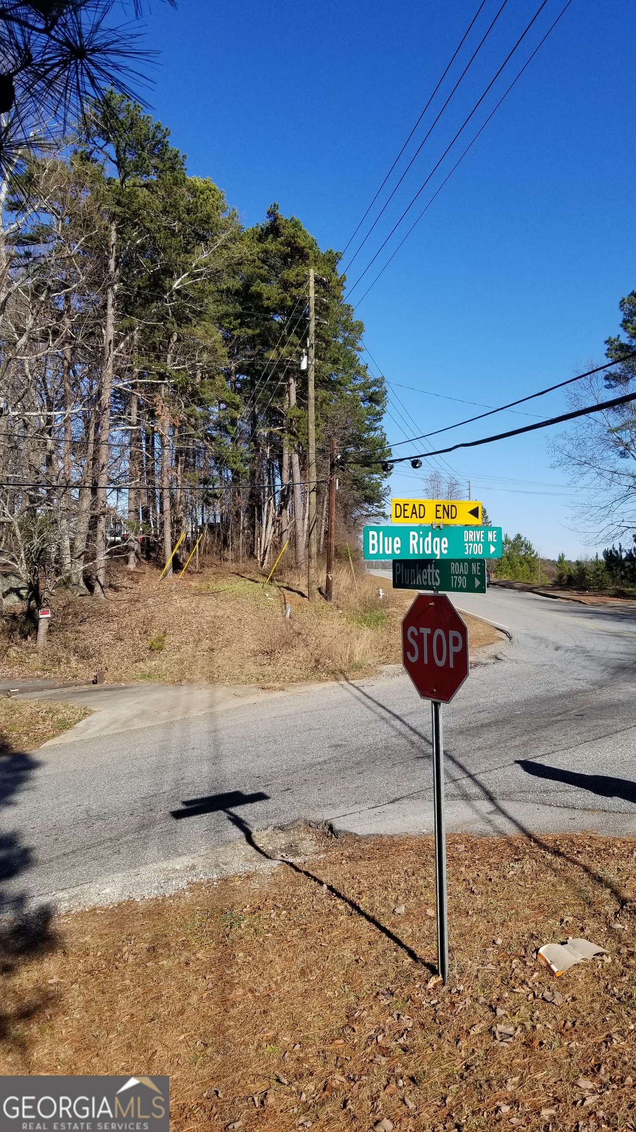 1785 Plunketts Road Buford GA 30518