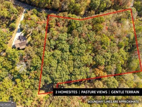 3.14 Ac Hot House Drive Mineral Bluff GA 30559