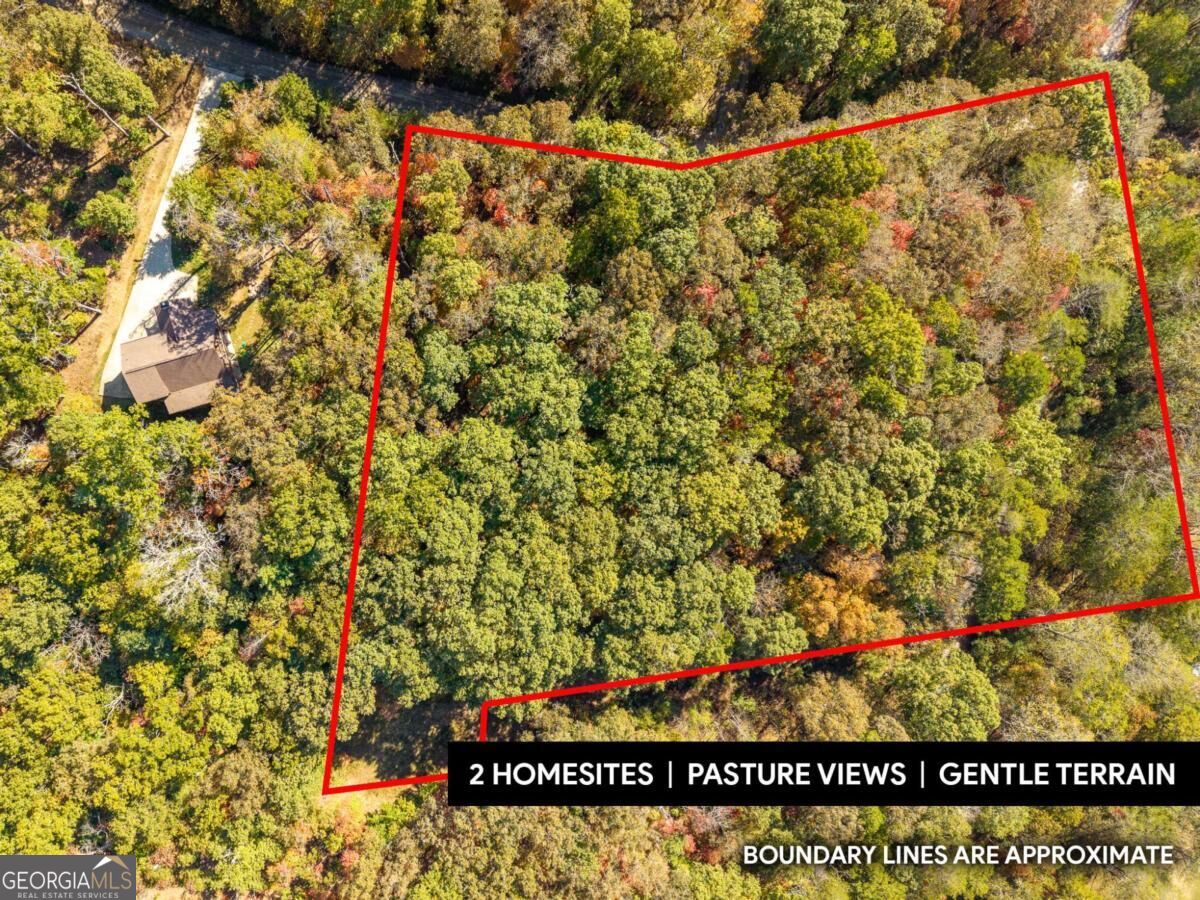 3.14 Ac Hot House Drive Mineral Bluff GA 30559