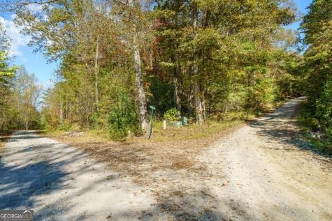 3.14 Ac Hot House Drive Mineral Bluff GA 30559
