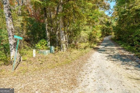 3.14 Ac Hot House Drive Mineral Bluff GA 30559