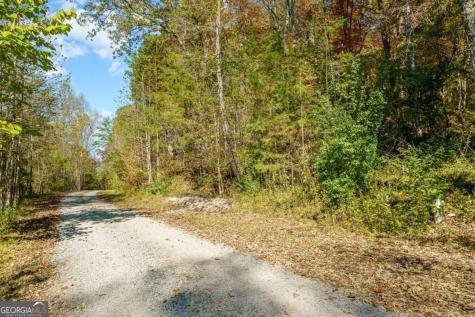 3.14 Ac Hot House Drive Mineral Bluff GA 30559