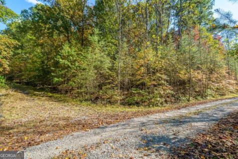3.14 Ac Hot House Drive Mineral Bluff GA 30559