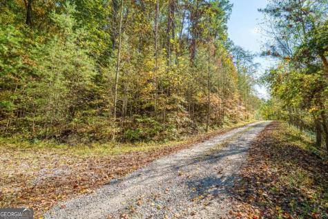 3.14 Ac Hot House Drive Mineral Bluff GA 30559