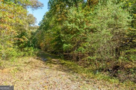 3.14 Ac Hot House Drive Mineral Bluff GA 30559