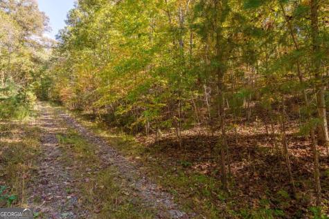 3.14 Ac Hot House Drive Mineral Bluff GA 30559