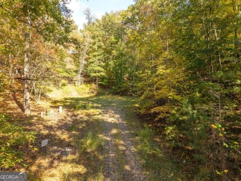 3.14 Ac Hot House Drive Mineral Bluff GA 30559