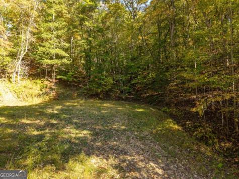 3.14 Ac Hot House Drive Mineral Bluff GA 30559