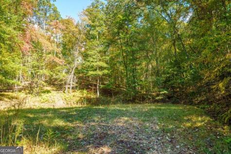 3.14 Ac Hot House Drive Mineral Bluff GA 30559