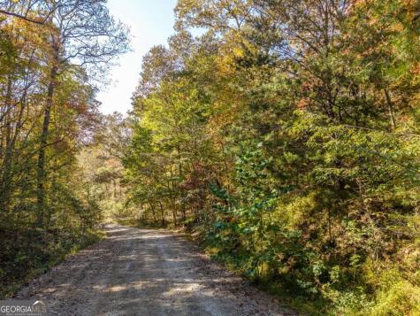 3.14 Ac Hot House Drive Mineral Bluff GA 30559