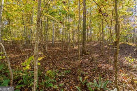 3.14 Ac Hot House Drive Mineral Bluff GA 30559