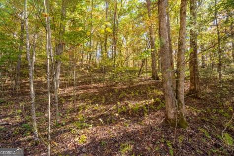 3.14 Ac Hot House Drive Mineral Bluff GA 30559