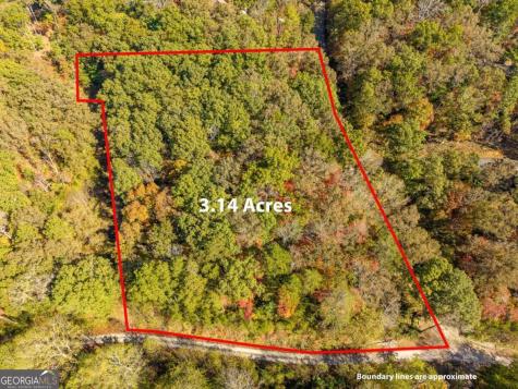 3.14 Ac Hot House Drive Mineral Bluff GA 30559