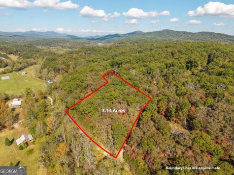 3.14 Ac Hot House Drive Mineral Bluff GA 30559