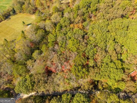 3.14 Ac Hot House Drive Mineral Bluff GA 30559