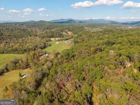 3.14 Ac Hot House Drive Mineral Bluff GA 30559
