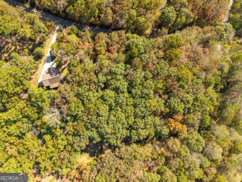 3.14 Ac Hot House Drive Mineral Bluff GA 30559