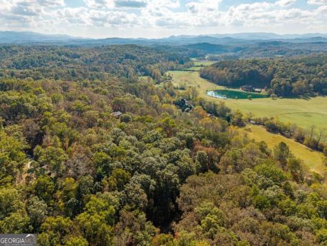 3.14 Ac Hot House Drive Mineral Bluff GA 30559