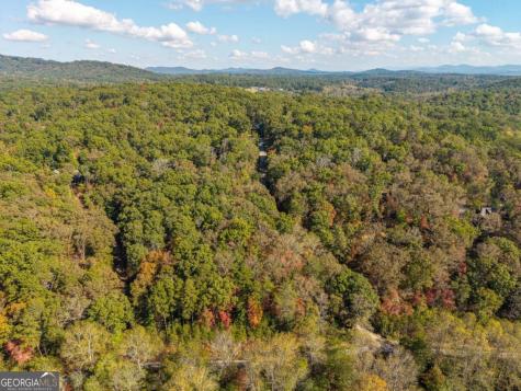 3.14 Ac Hot House Drive Mineral Bluff GA 30559