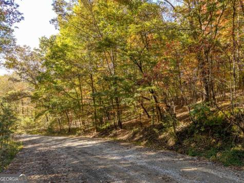 3.14 Ac Hot House Drive Mineral Bluff GA 30559