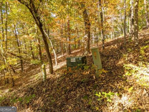 3.14 Ac Hot House Drive Mineral Bluff GA 30559