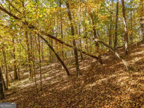 3.14 Ac Hot House Drive Mineral Bluff GA 30559