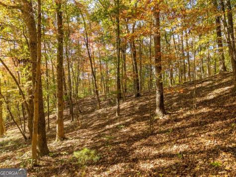 3.14 Ac Hot House Drive Mineral Bluff GA 30559