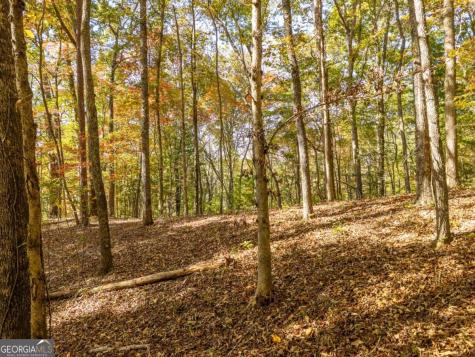 3.14 Ac Hot House Drive Mineral Bluff GA 30559