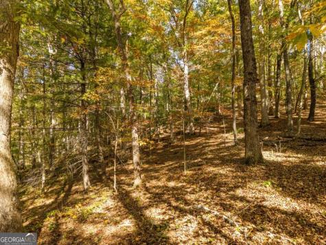 3.14 Ac Hot House Drive Mineral Bluff GA 30559