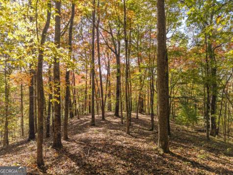 3.14 Ac Hot House Drive Mineral Bluff GA 30559