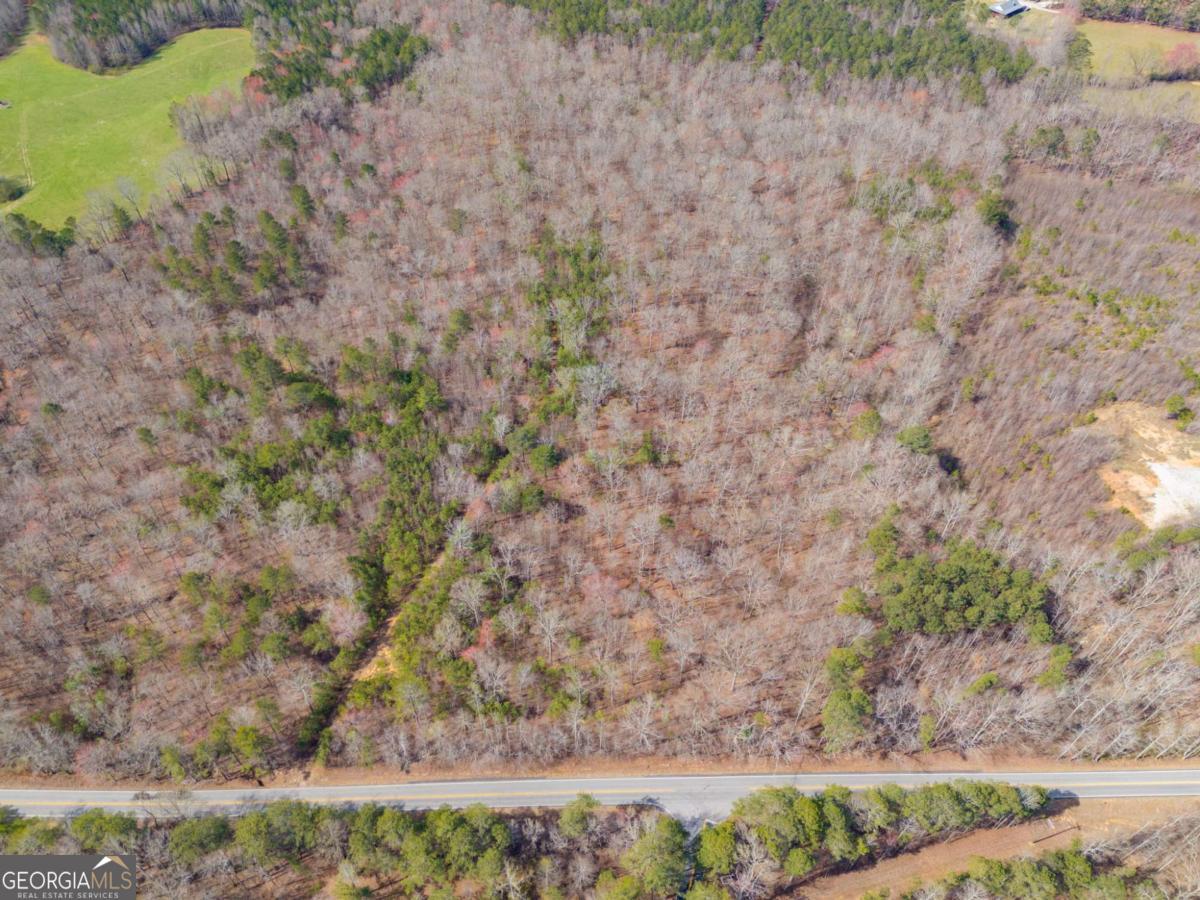 TRACT5 Georgia Highway 100 Buchanan GA 30113