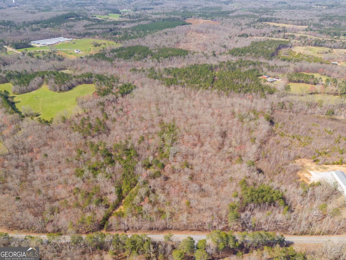 TRACT5 Georgia Highway 100 Buchanan GA 30113