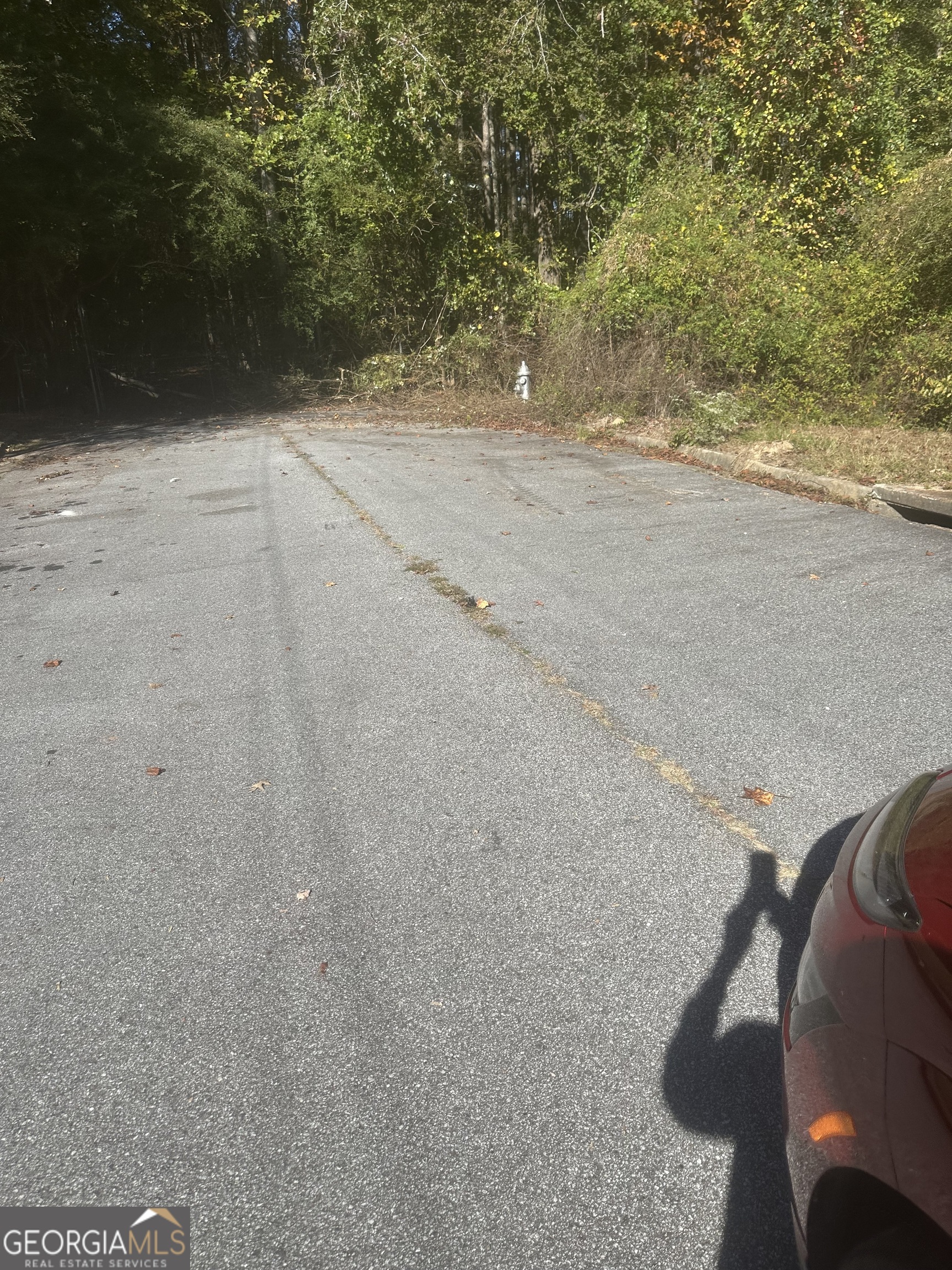0 Buffington Road South Fulton GA 30291