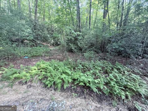 0 Hwy 76 W Clayton GA 30525