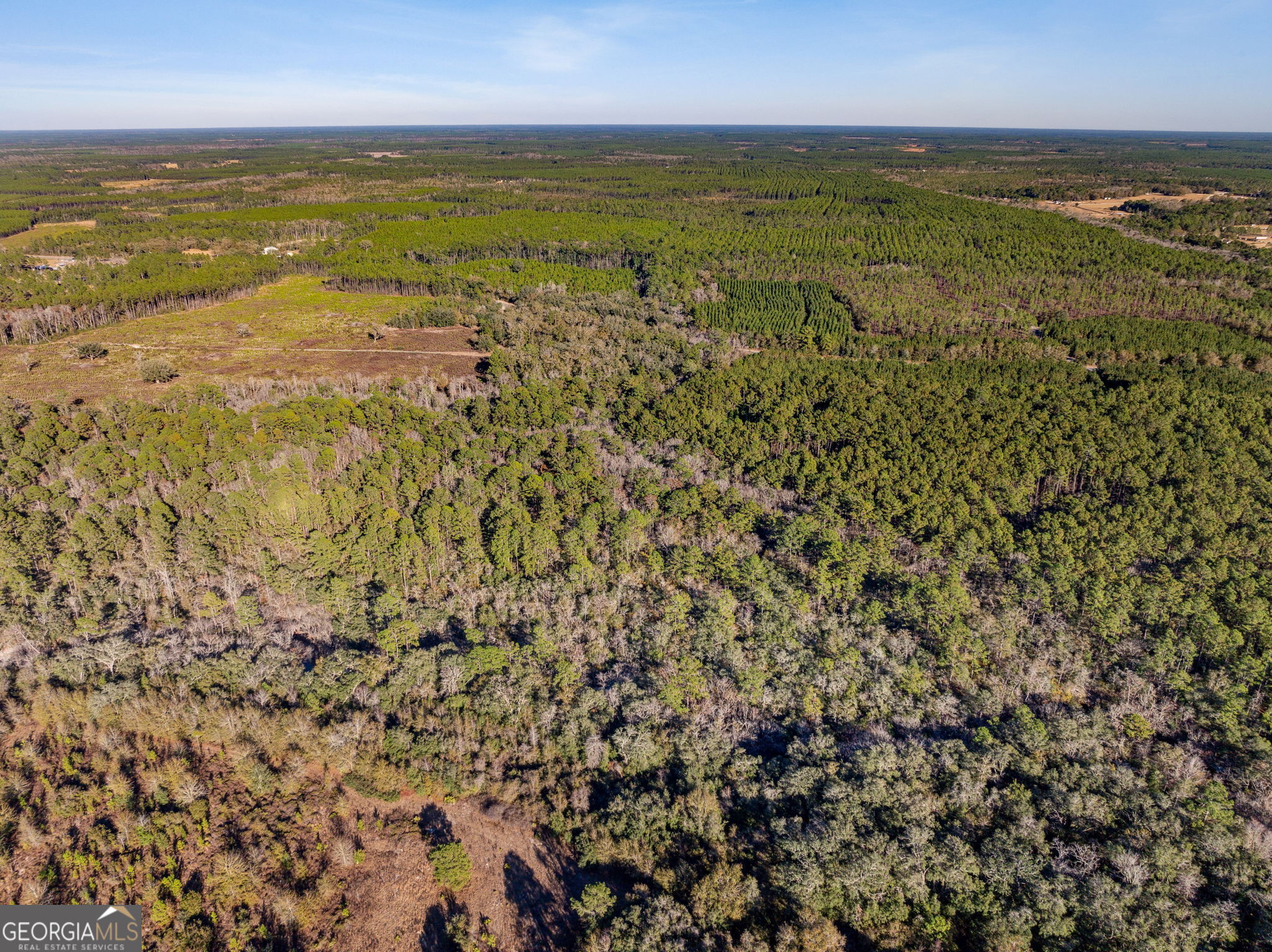 0 State Road 185 St. George GA 31562