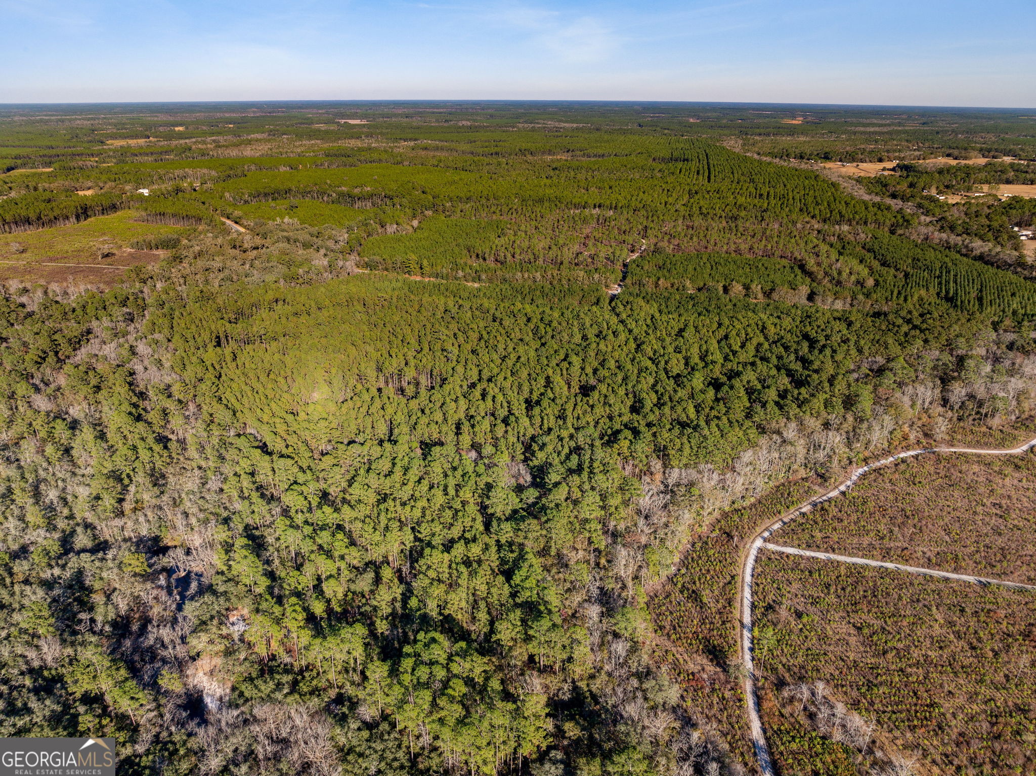 0 State Road 185 St. George GA 31562