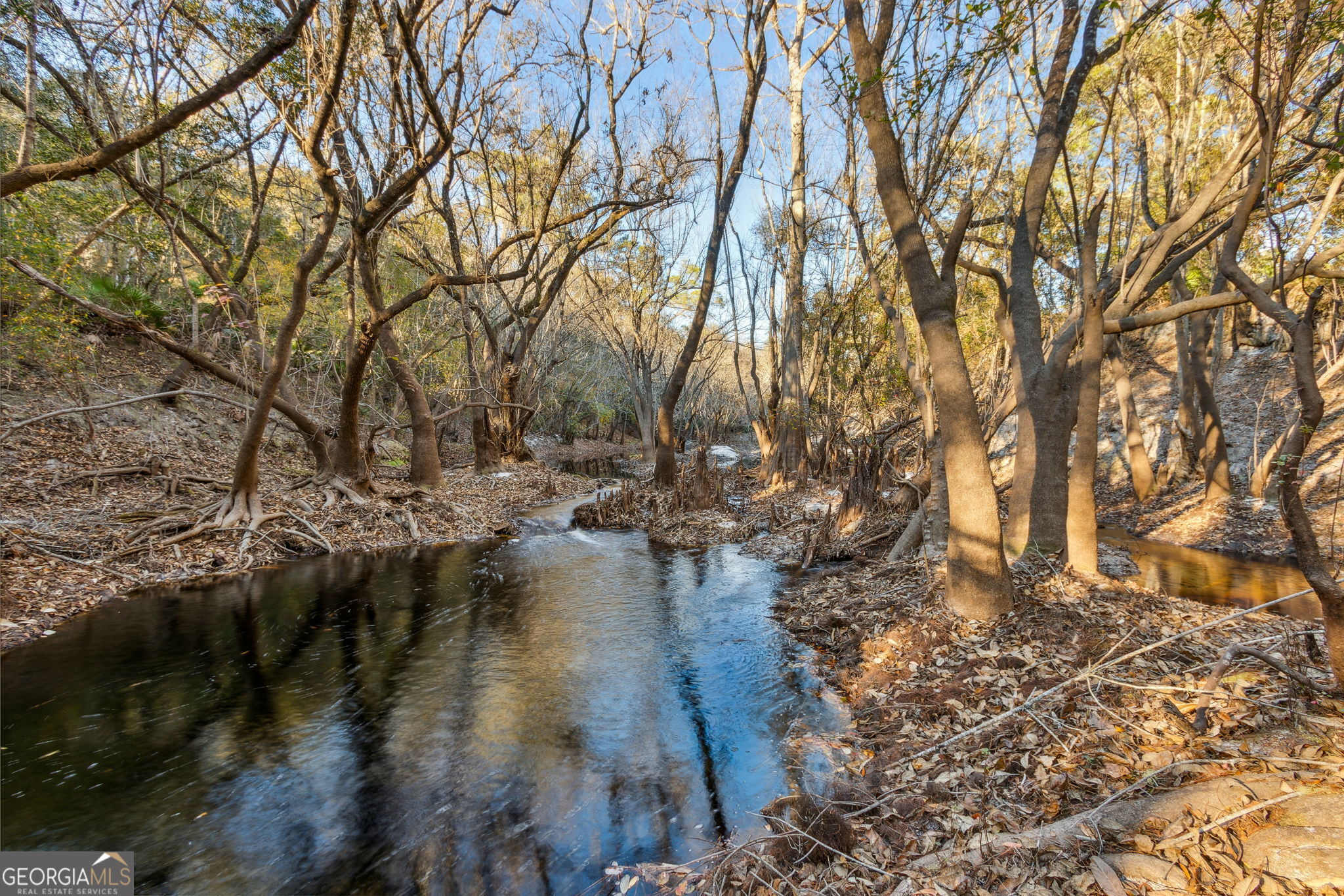 0 State Road 185 St. George GA 31562