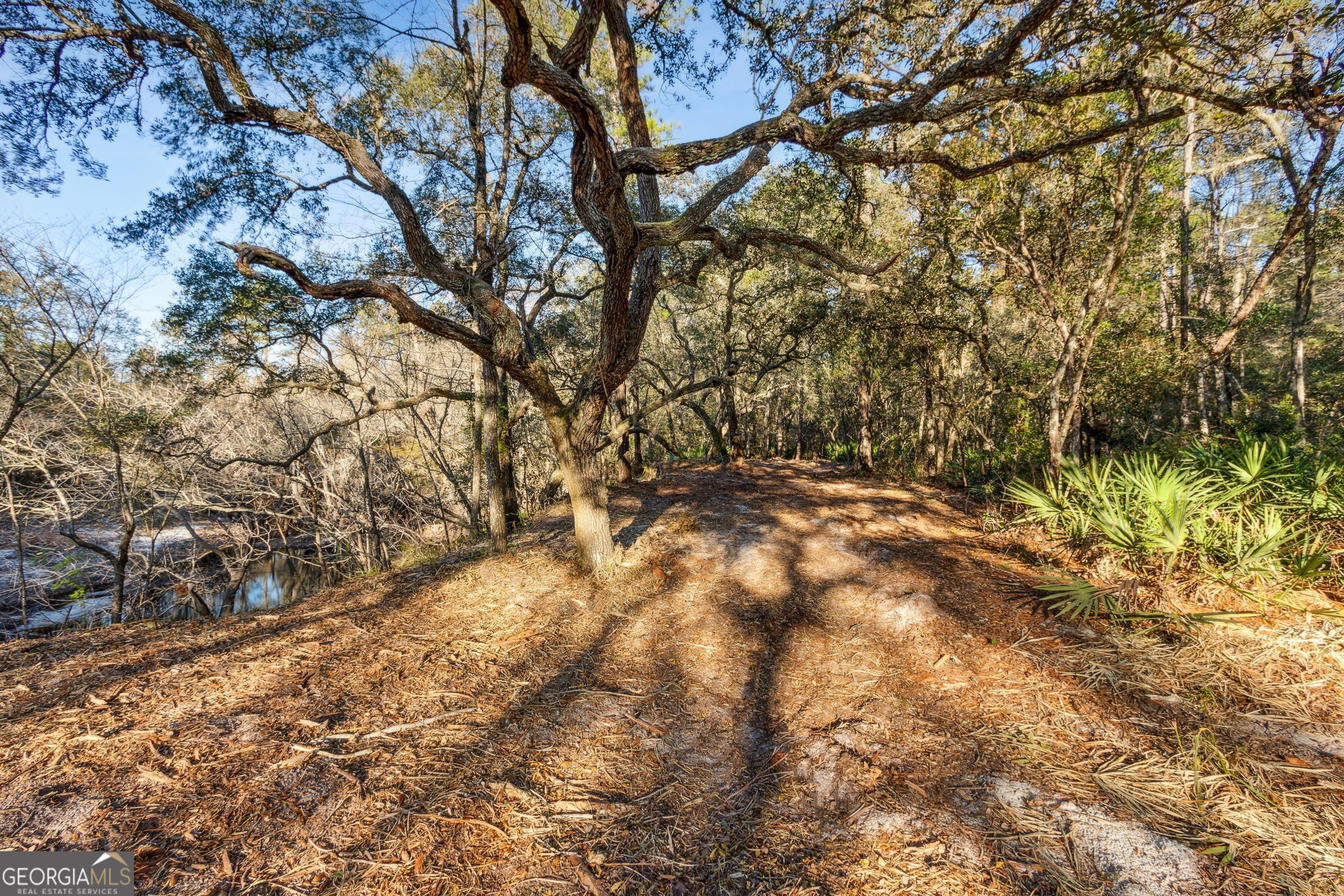 0 State Road 185 St. George GA 31562