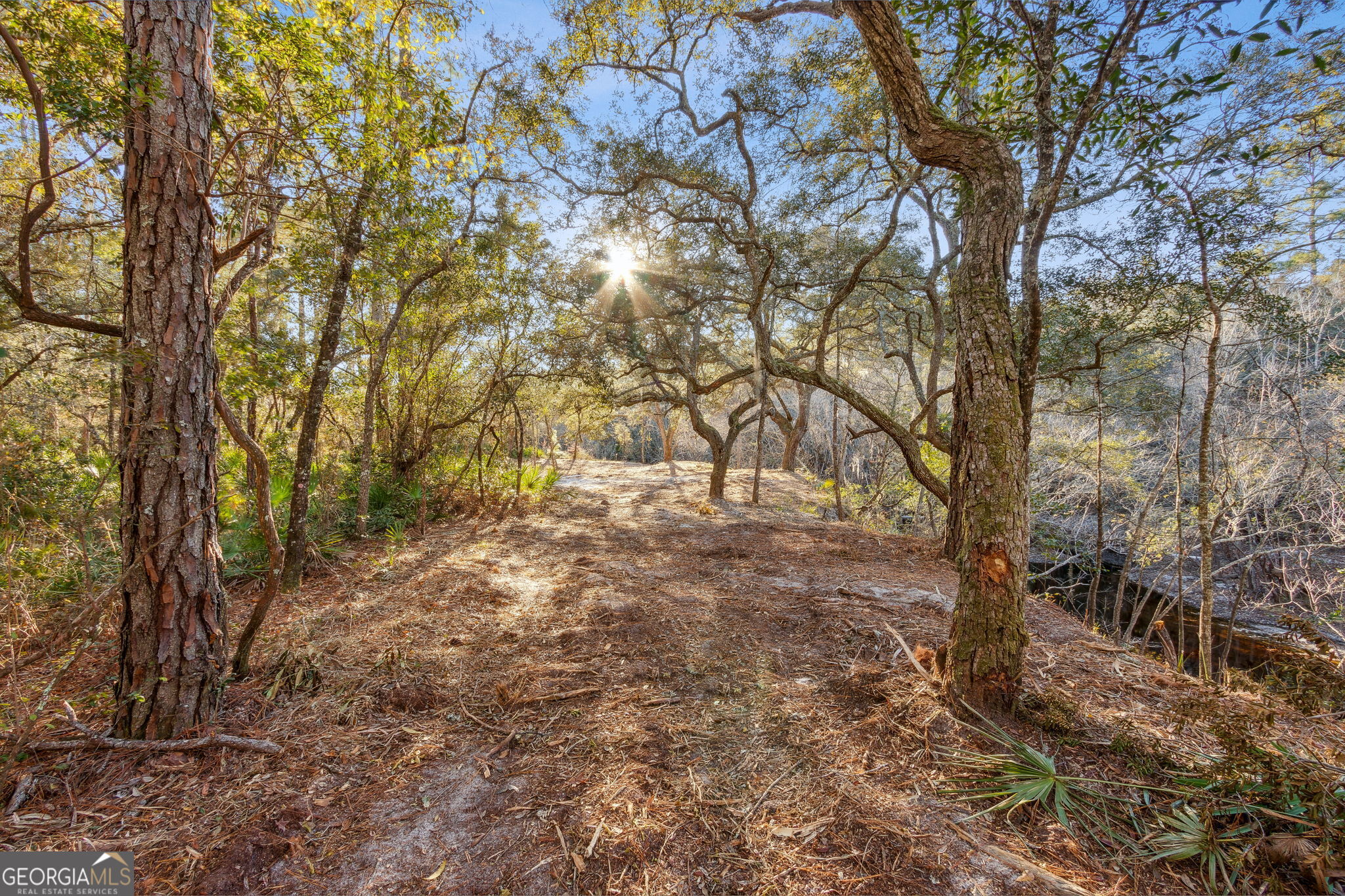 0 State Road 185 St. George GA 31562