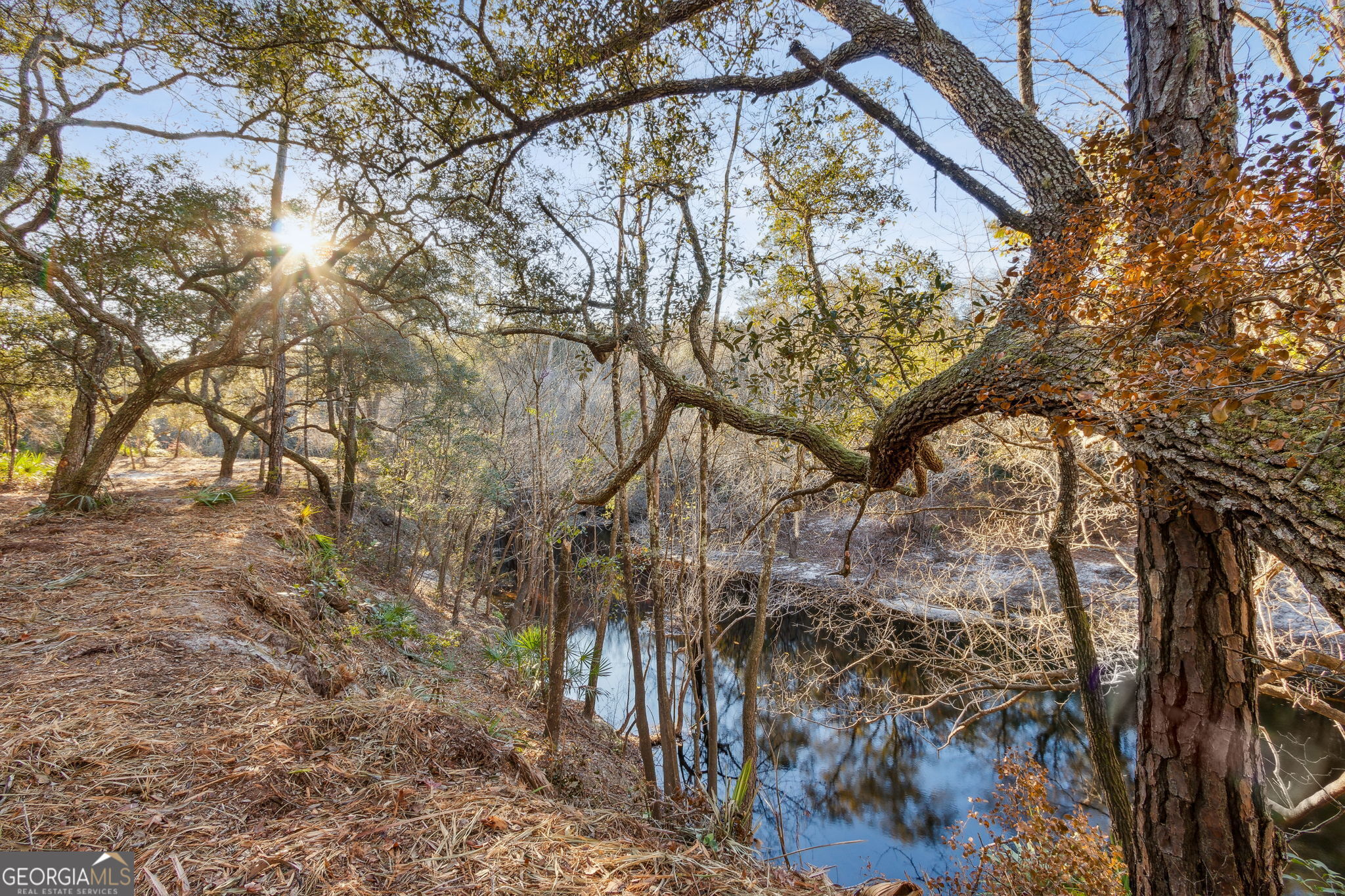 0 State Road 185 St. George GA 31562