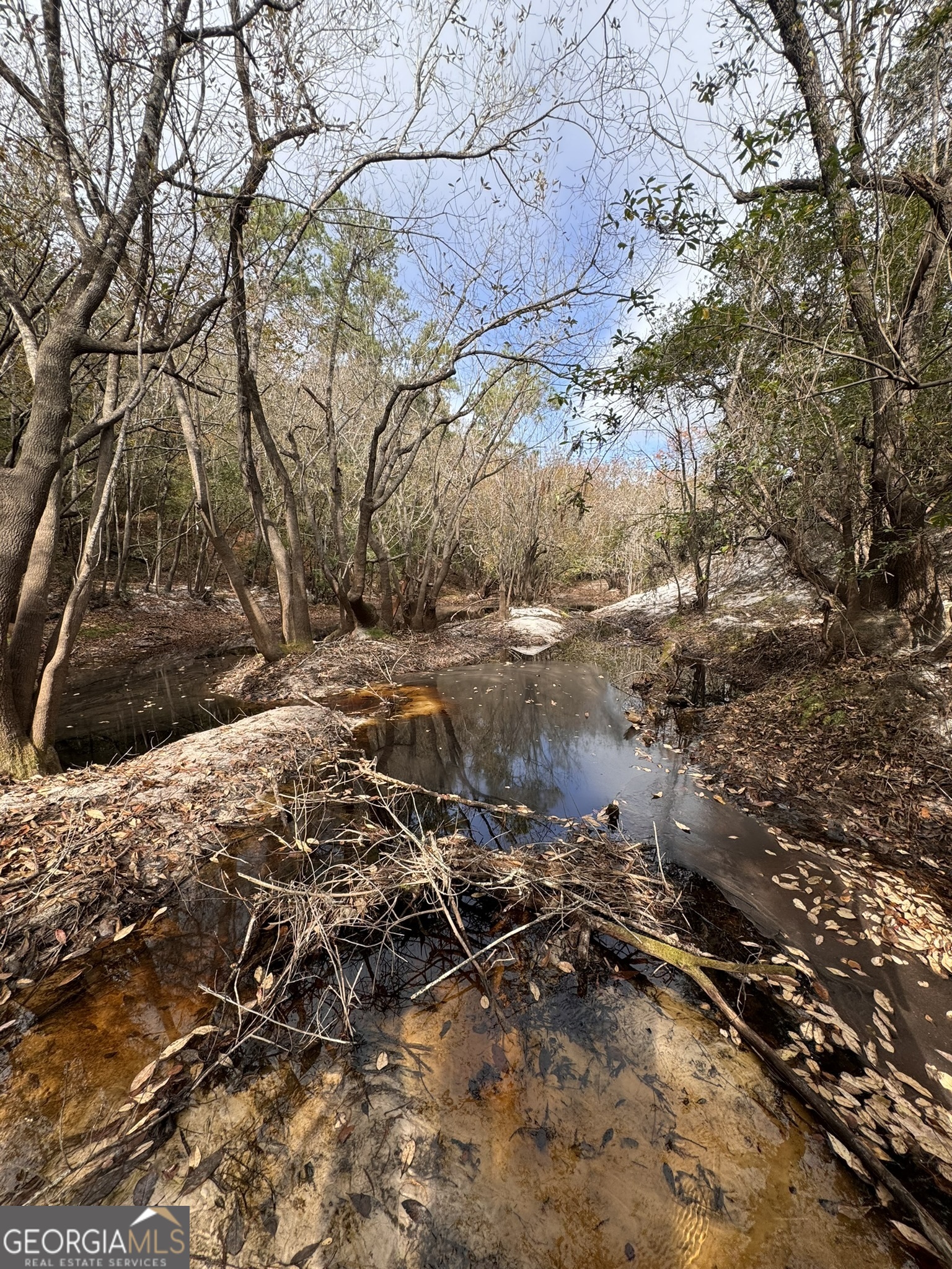 0 State Road 185 St. George GA 31562