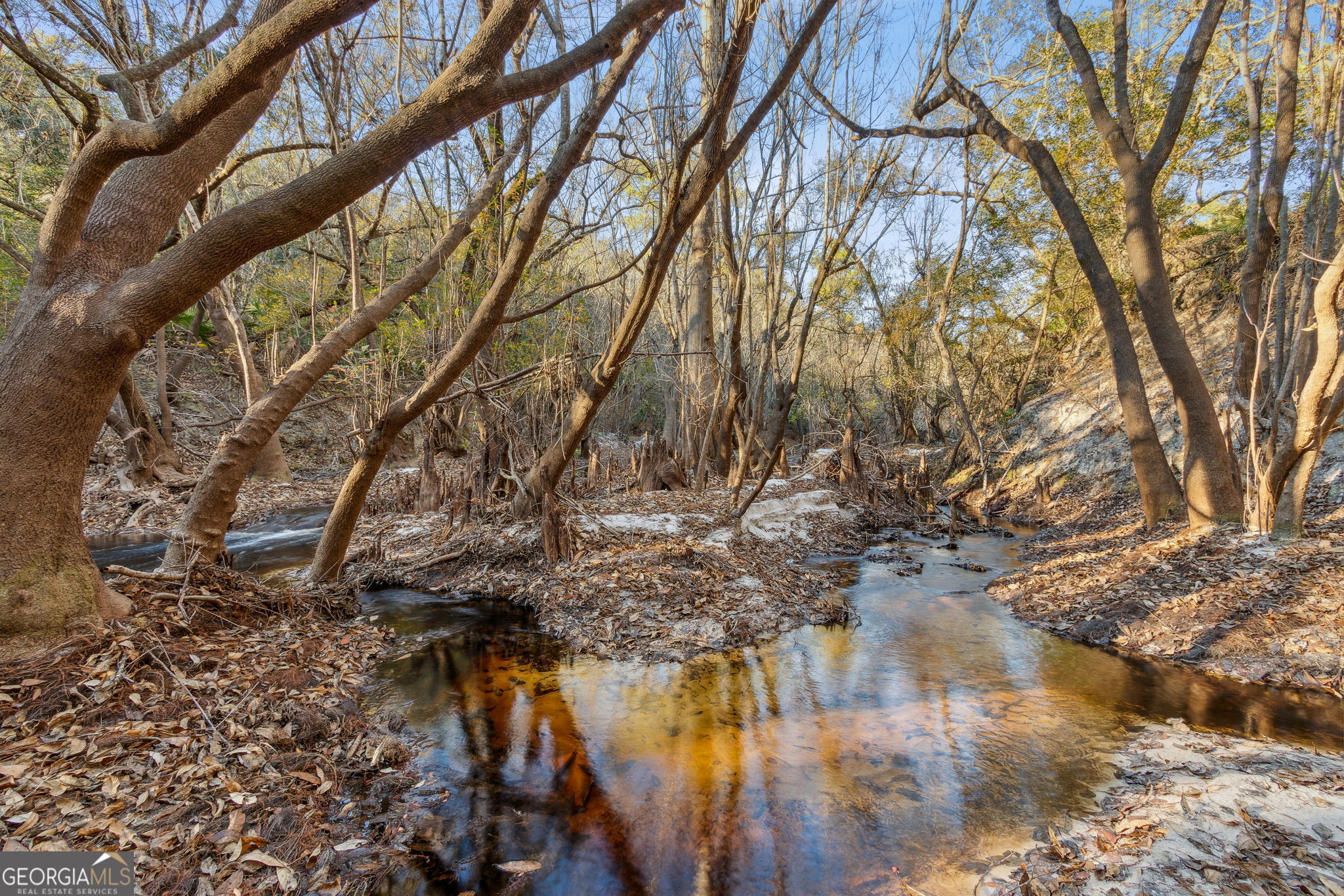 0 State Road 185 St. George GA 31562