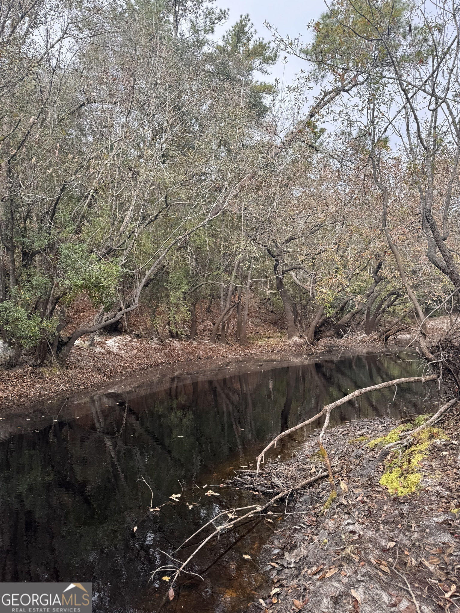 0 State Road 185 St. George GA 31562