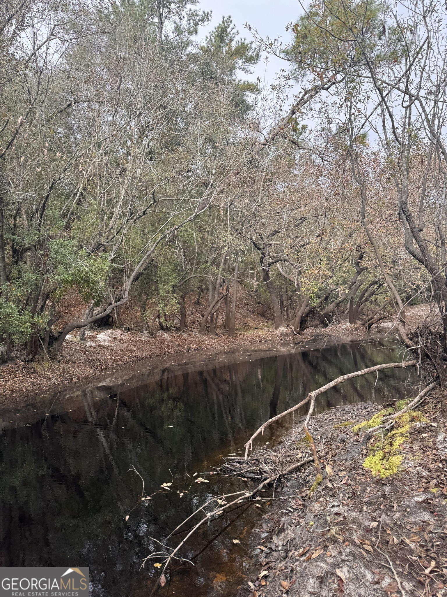0 State Road 185 St. George GA 31562
