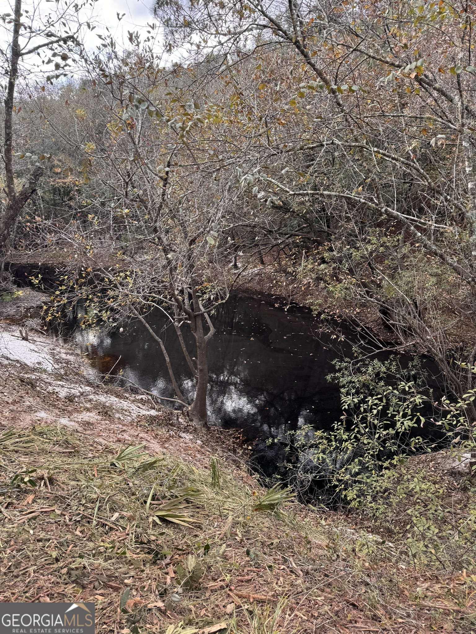 0 State Road 185 St. George GA 31562