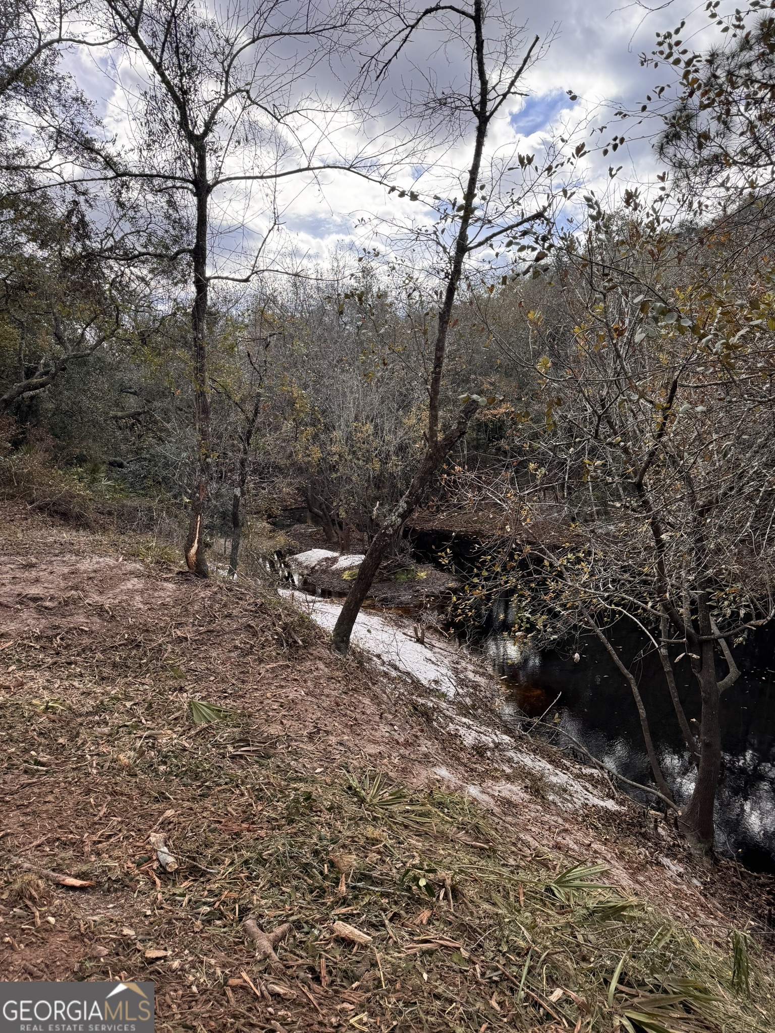 0 State Road 185 St. George GA 31562