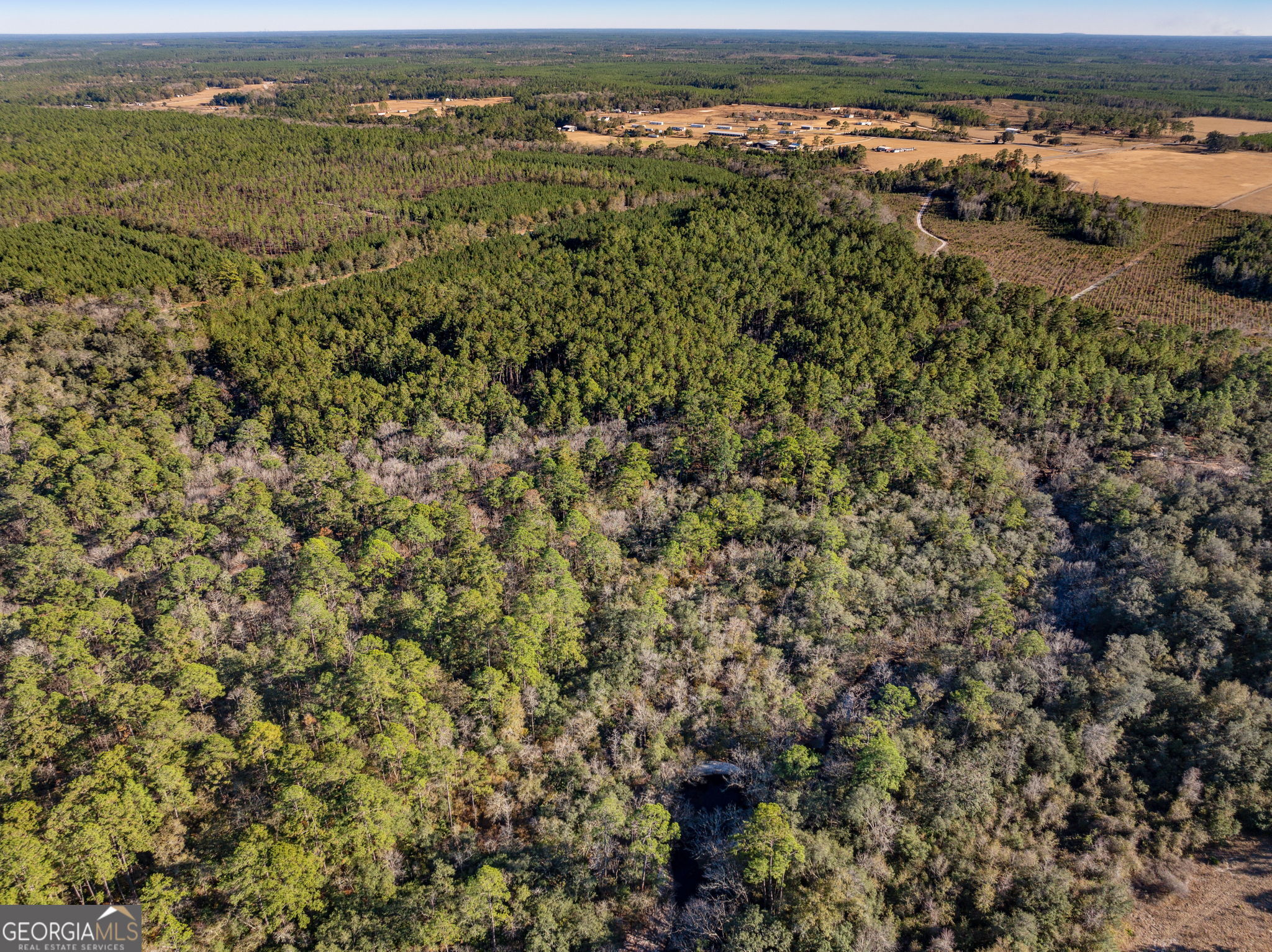 0 State Road 185 St. George GA 31562