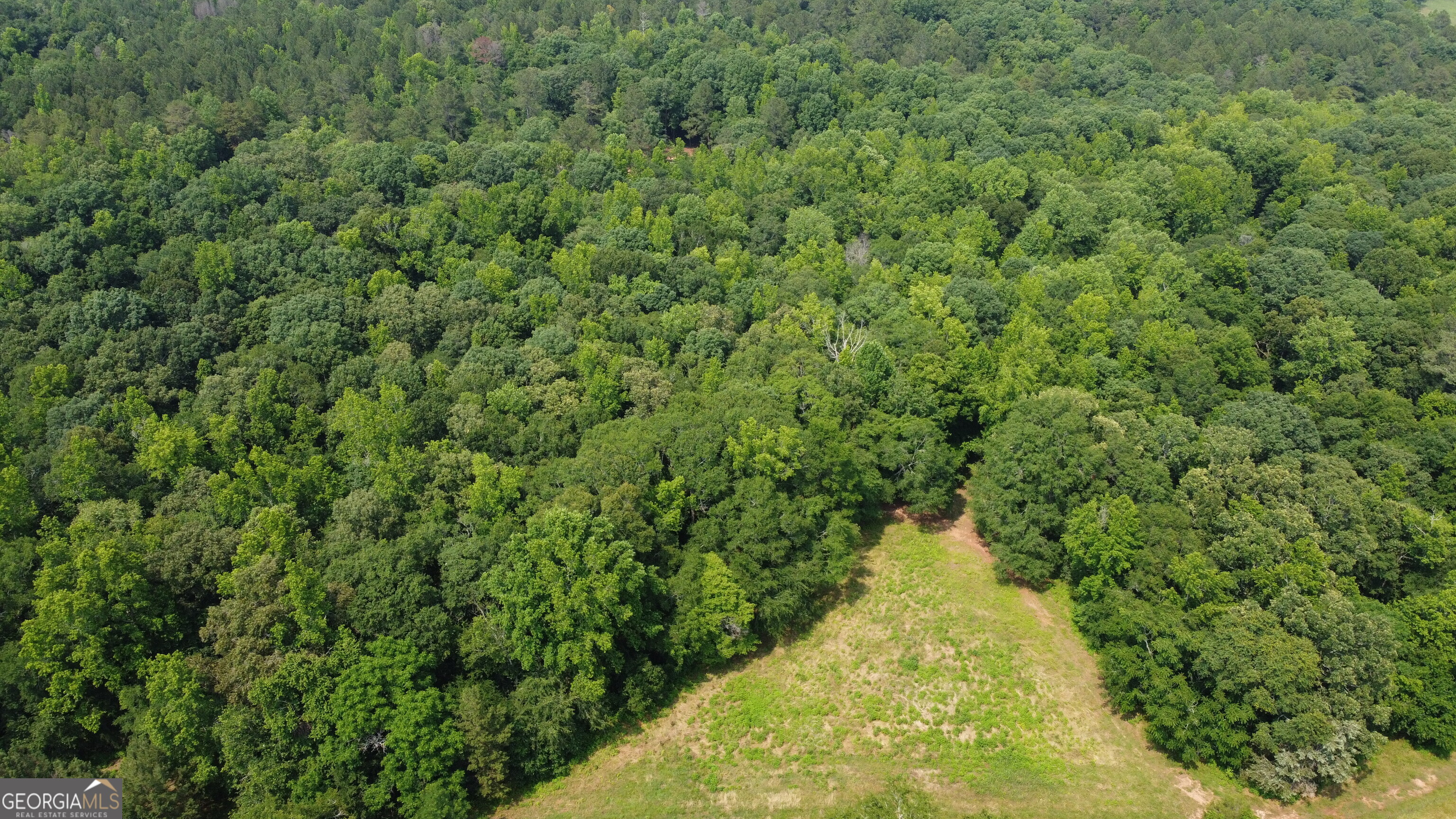 1520 Marshall Wilkes Road Watkinsville GA 30677