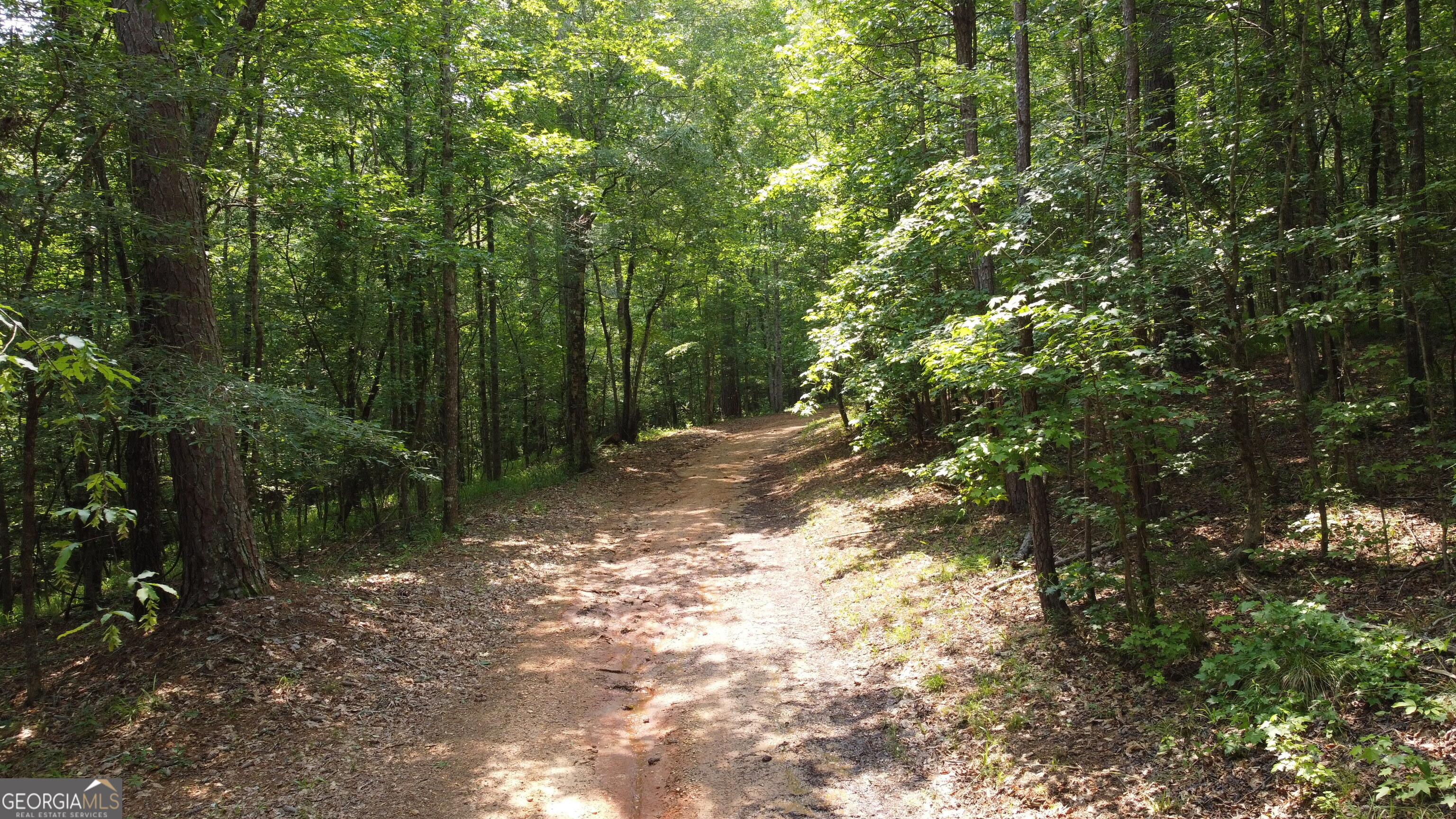 1520 Marshall Wilkes Road Watkinsville GA 30677