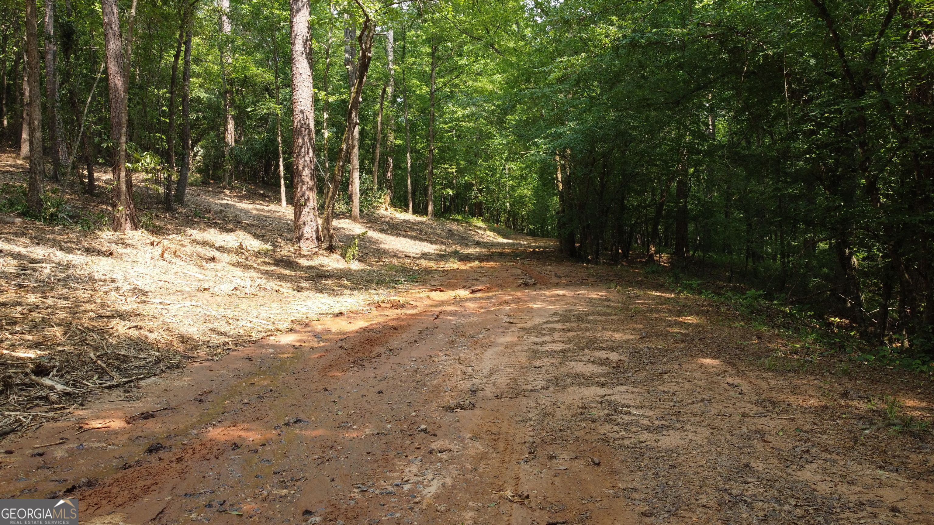 1520 Marshall Wilkes Road Watkinsville GA 30677